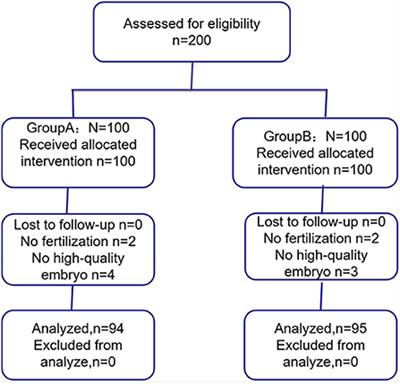 Role of N-acetylcysteine treatment in women with advanced age undergoing IVF/ICSI cycles: A prospective study